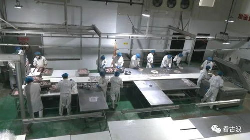 市政協調研組深入古浪縣調研農產品加工產業發展現狀，聚焦工程與技術研發新路徑